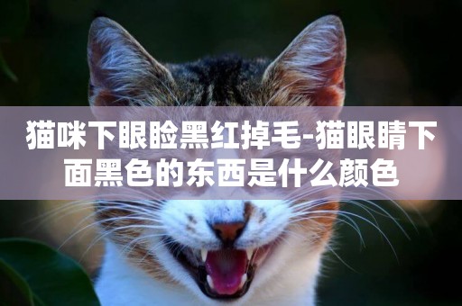 猫咪下眼睑黑红掉毛-猫眼睛下面黑色的东西是什么颜色